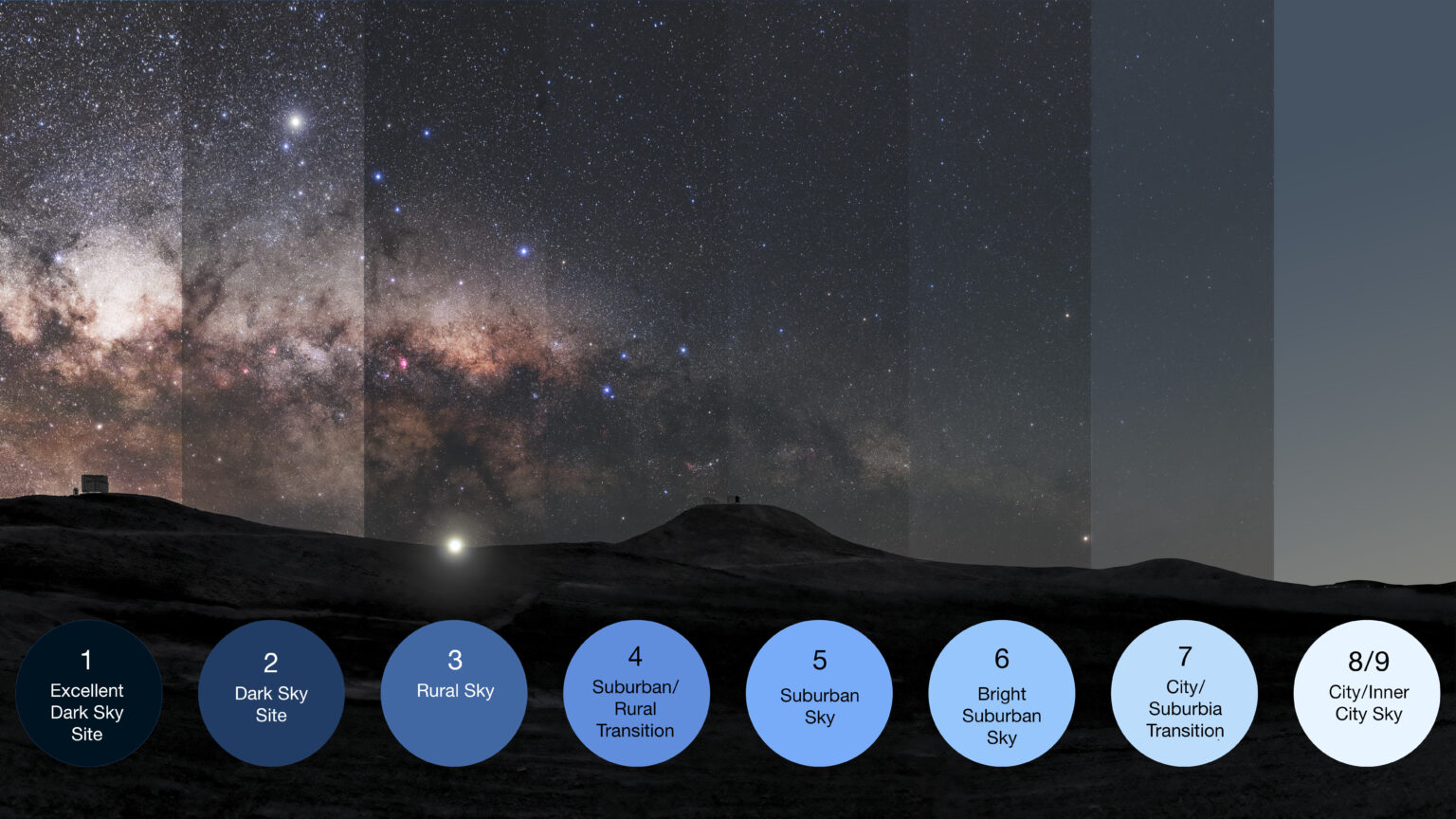 How light pollution affects