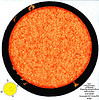 Jerry Kuchera's macular images